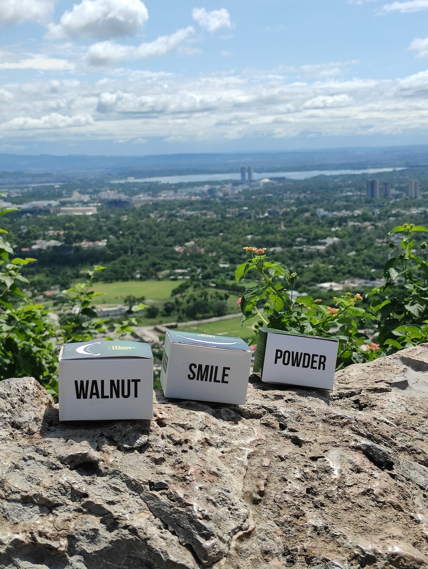 Pack of 3 - Walnut Smile Powder – Natural Teeth Whitening & Gum Care with Clove and Peppermint