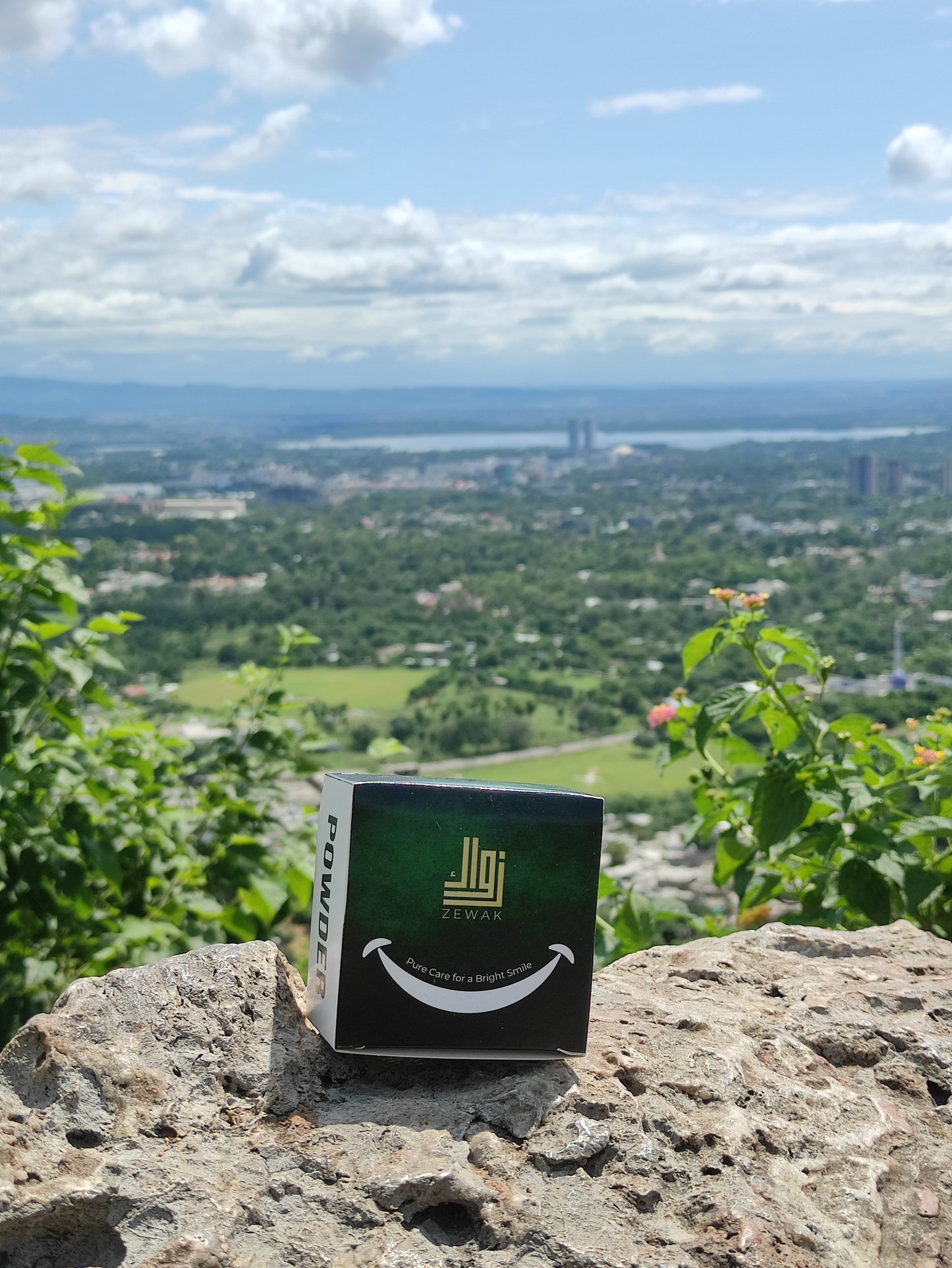 Walnut Smile Powder – Natural Teeth Whitening & Gum Care with Clove and Peppermint