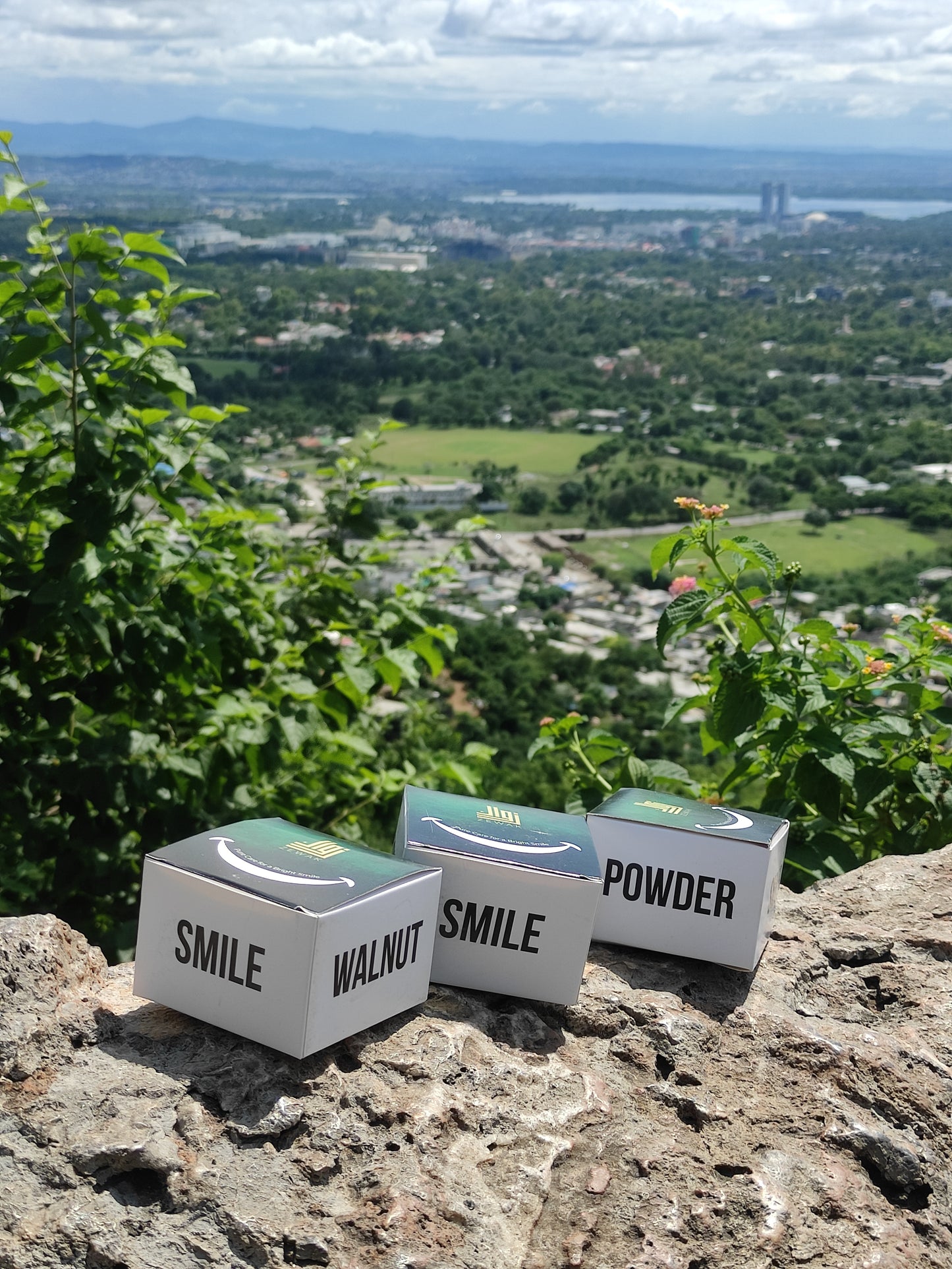 Pack of 3 - Walnut Smile Powder – Natural Teeth Whitening & Gum Care with Clove and Peppermint