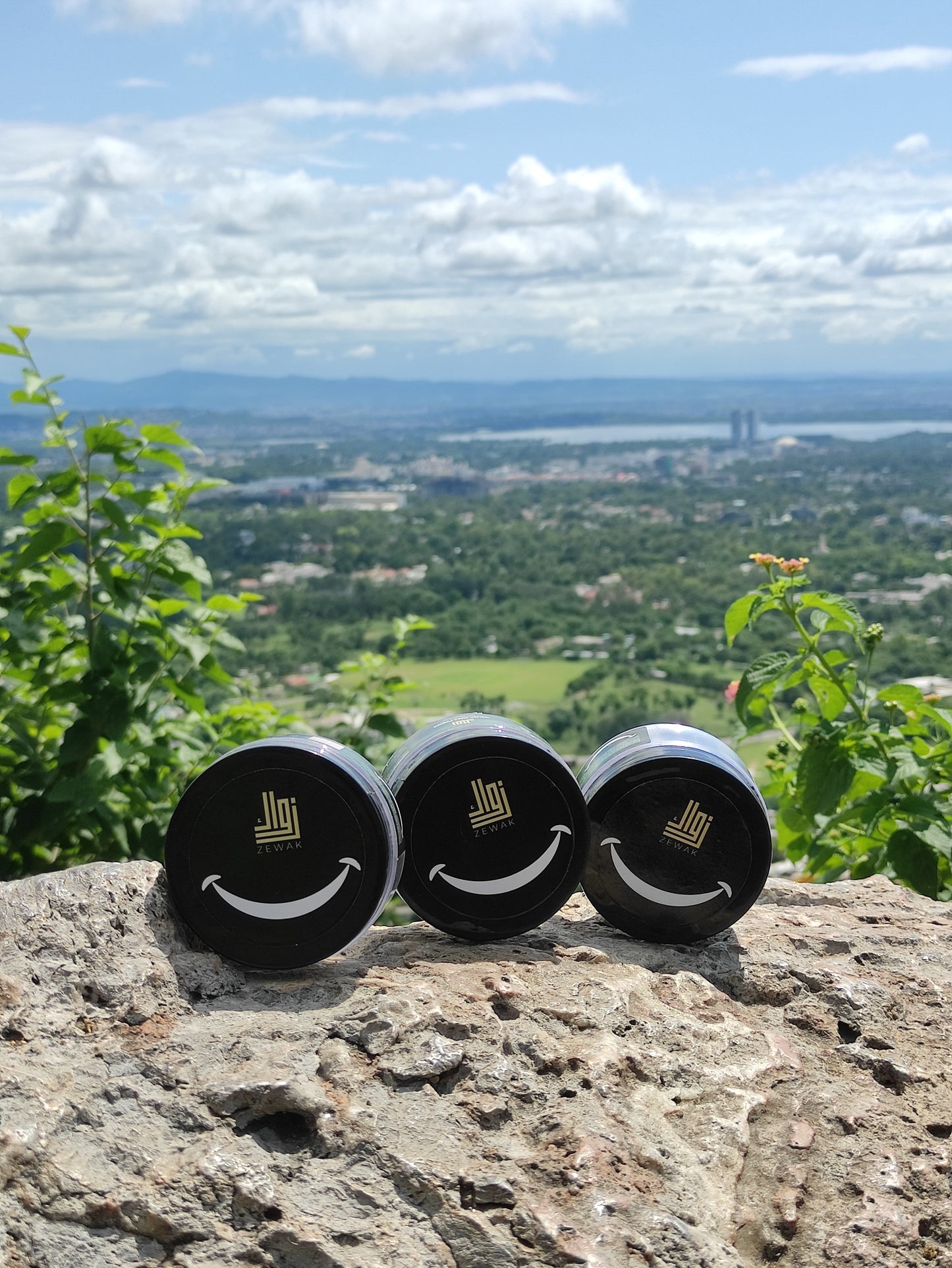 Pack of 3 - Walnut Smile Powder – Natural Teeth Whitening & Gum Care with Clove and Peppermint