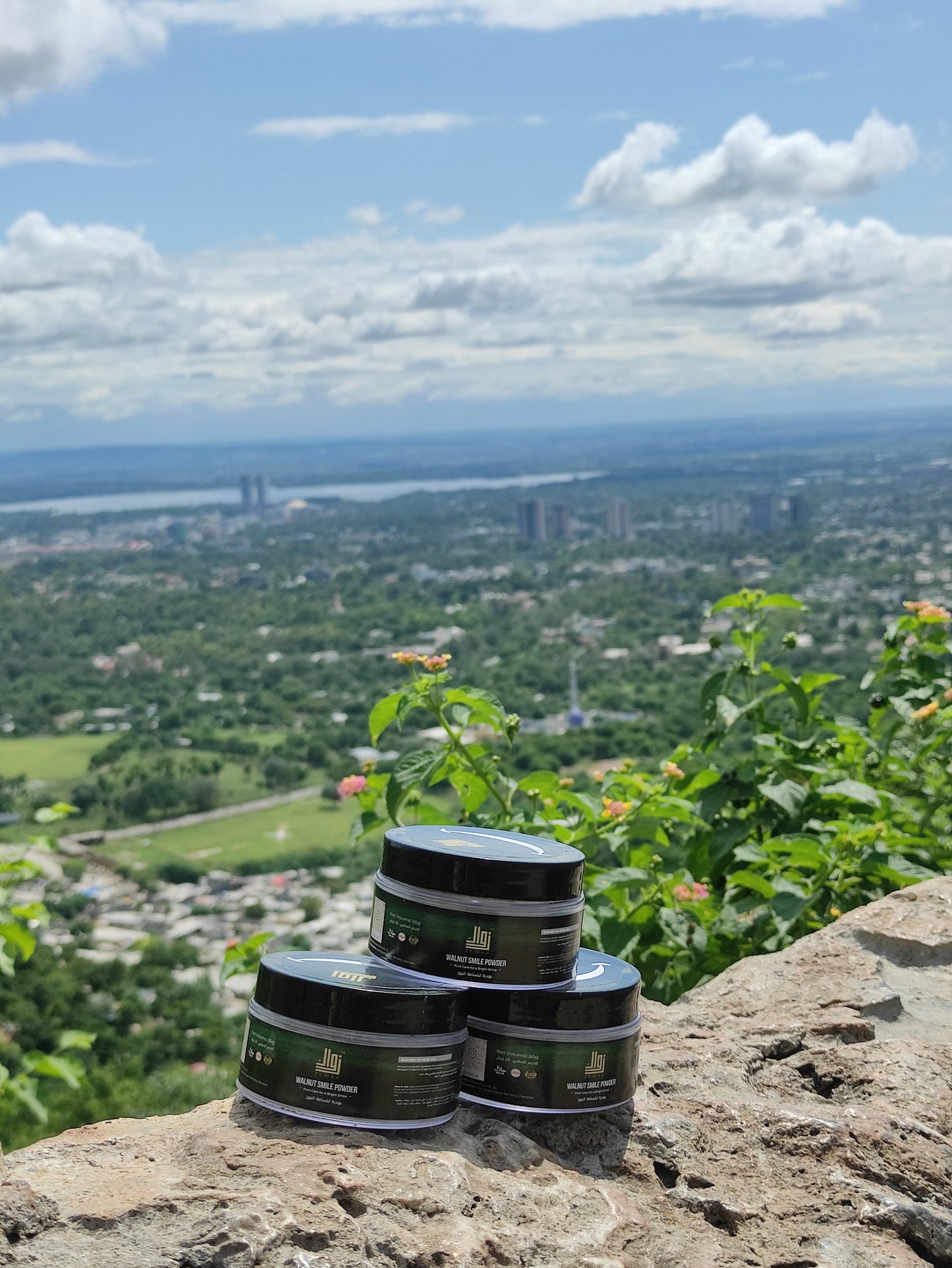 Pack of 3 - Walnut Smile Powder – Natural Teeth Whitening & Gum Care with Clove and Peppermint